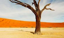 假如我很高很高