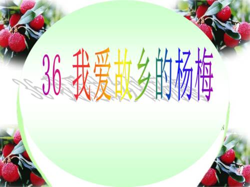 我的家乡杨梅