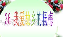 故乡的杨梅读后感