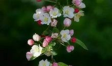 留在记忆里的什么