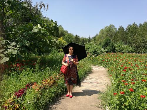 游览大北方荒野生态公园
