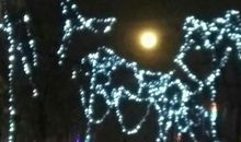 一缕春风暖心怀