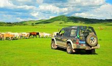 我是草原小导游