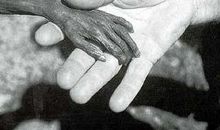 这样的人让我痛心