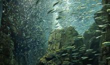 生命开始的地方