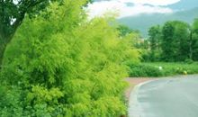 这种感觉真难忘