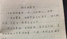 描写交警的作文