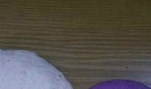 我第一次做面团动物——小刺猬