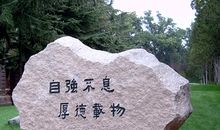 校园的一处景物