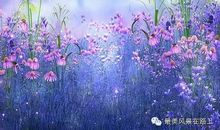 大自然是我的好朋友