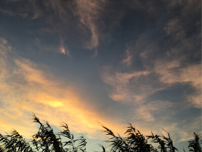 我在夏日傍晚看到的风景