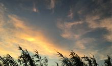 我看到的夏天傍晚的景色