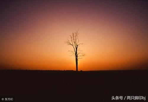 笑声是风景
