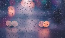 一夜枕上听春雨_550字