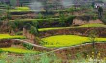 诗词进入我的视线