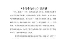 《夏日书》读后感