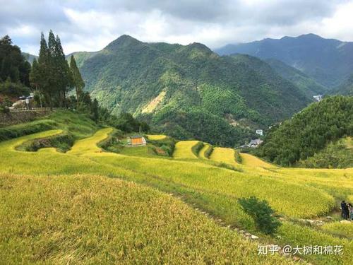 如果时间冻结