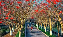 往春天的深处走去