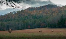 爱的天空感恩的原野