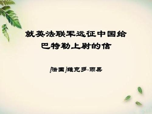 给雨果的信