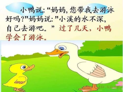 小鸭学飞