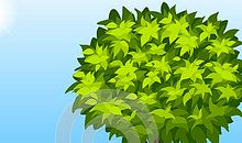 一棵树改变了我