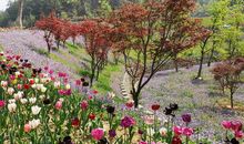 秦巴植物园一日游