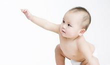 都是斗鸡惹的祸