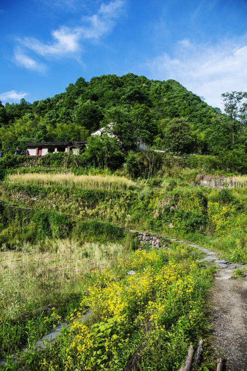 “永远”的村庄
