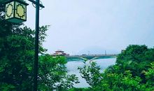 用心去“读”另一种爱