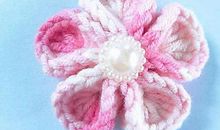 坚持不懈的小花