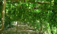 《坎井青蛙》续写