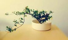 播下一颗善良的种子