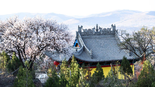 庙山泉