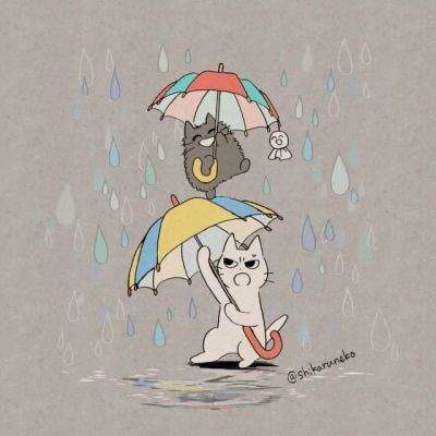 我佩服的同学