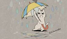 一个令我佩服的同学