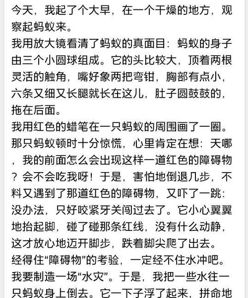 写昆虫成分