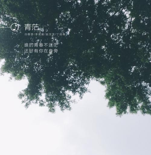 青春不输