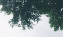 青春不迷茫