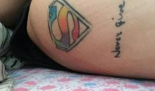 永不放弃的蜘蛛