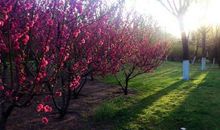 美丽的玉门河公园