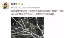 人间幸好有别离