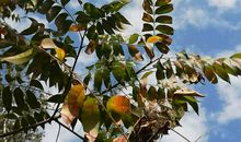 原来秋天并不遥远