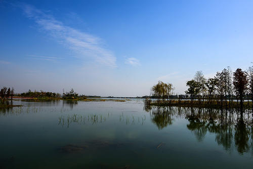 太湖湿地公园风光