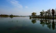 太湖湿地公园风景