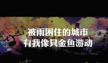 那场雨温暖了我的心