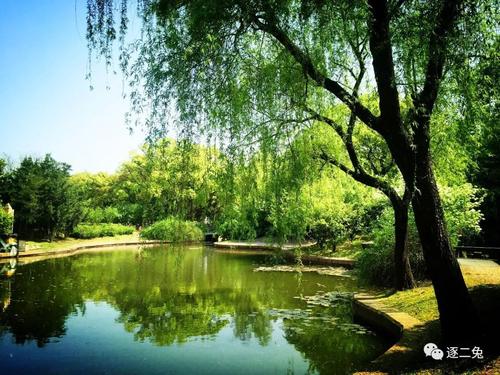 美丽的龙华公园