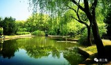 美丽的龙华公园