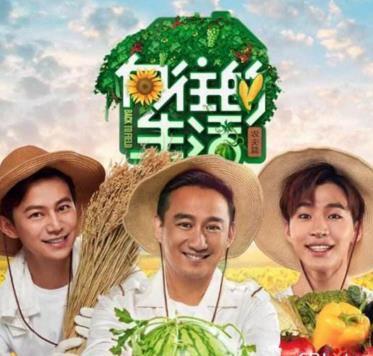 我心中的那扇窗户
