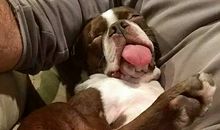 让我再睡五分钟